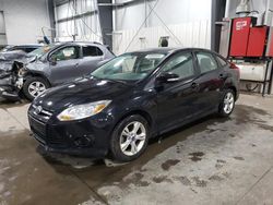 2013 Ford Focus SE en venta en Ham Lake, MN