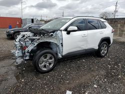 Salvage cars for sale at Homestead, FL auction: 2023 Toyota Rav4 XLE