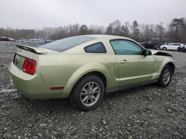 2005 Ford Mustang