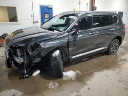 Vehiculos salvage en venta de Copart Blaine, MN: 2023 Hyundai Santa FE Limited
