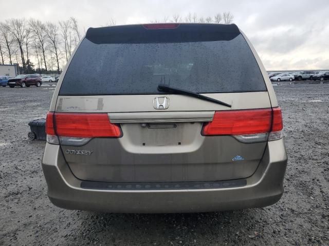 2010 Honda Odyssey EXL