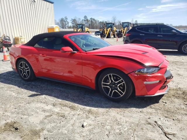 2019 Ford Mustang