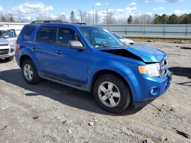 2011 Ford Escape XLT