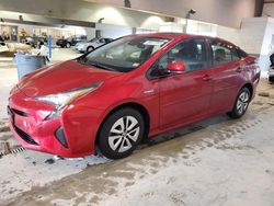 Toyota Prius salvage cars for sale: 2016 Toyota Prius