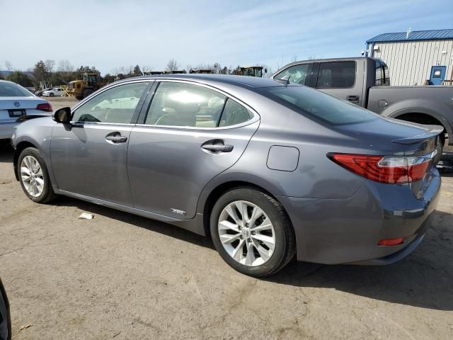 2014 Lexus ES 300H