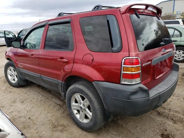 2006 Ford Escape HEV