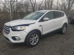 Salvage cars for sale at Cicero, IN auction: 2019 Ford Escape SE