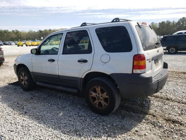 2006 Ford Escape XLT