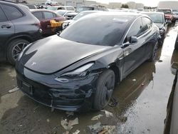 2020 Tesla Model 3 for sale in Martinez, CA