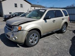 Salvage cars for sale from Copart York Haven, PA: 2012 Ford Escape XLT