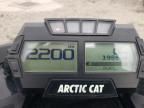2020 Arctic Cat Mountain C