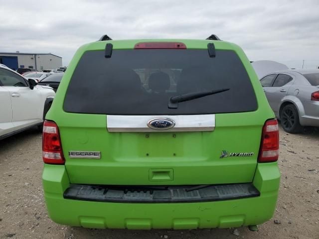 2011 Ford Escape Hybrid