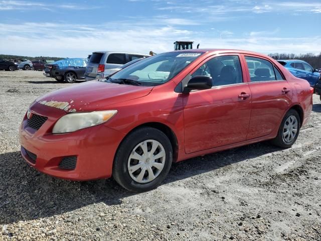 2010 Toyota Corolla Base