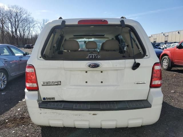 2008 Ford Escape XLT