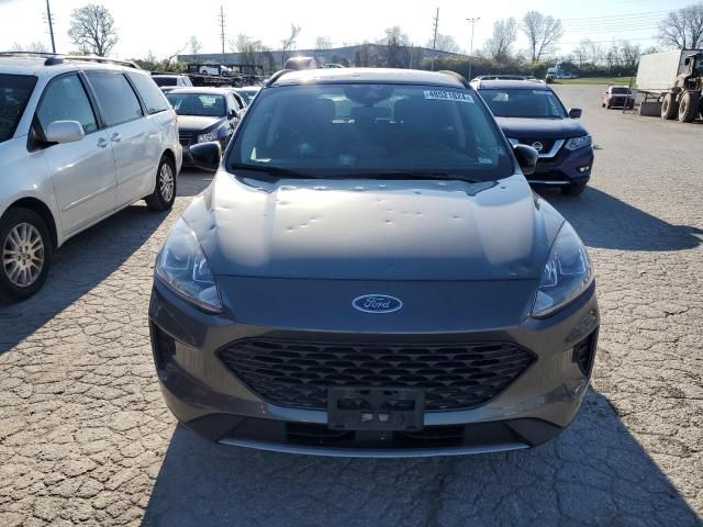 2020 Ford Escape SE Sport