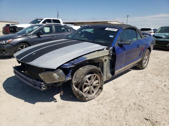 2005 Ford Mustang