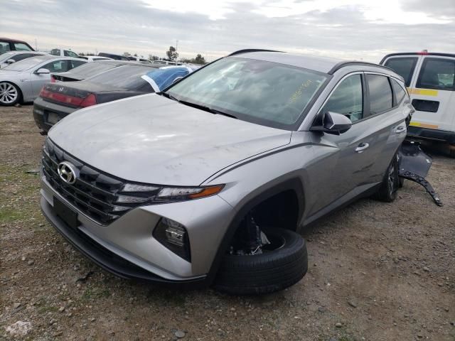 2024 Hyundai Tucson Blue