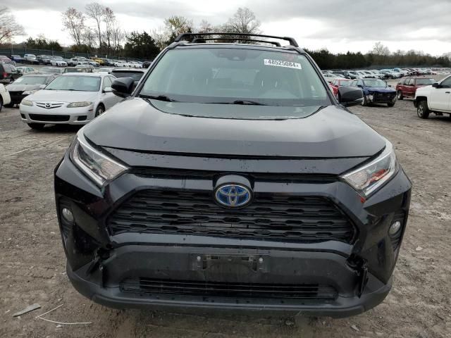 2019 Toyota Rav4 XLE