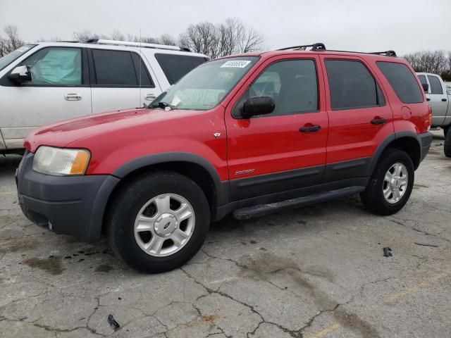 2001 Ford Escape XLT