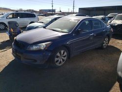 Salvage cars for sale at Colorado Springs, CO auction: 2009 Honda Accord EXL