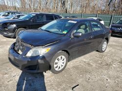 Salvage cars for sale from Copart Candia, NH: 2010 Toyota Corolla Base