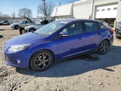 Ford Focus SE salvage cars for sale: 2013 Ford Focus SE