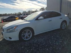 Salvage cars for sale at Byron, GA auction: 2014 Nissan Maxima S