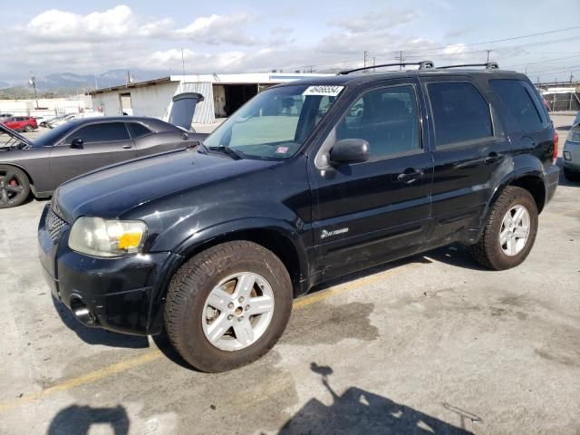 2006 Ford Escape HEV