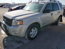 Salvage cars for sale at Cahokia Heights, IL auction: 2008 Ford Escape XLT