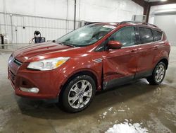 Salvage cars for sale at Avon, MN auction: 2014 Ford Escape SE