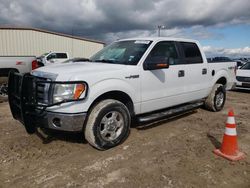 Salvage cars for sale from Copart Temple, TX: 2012 Ford F150 Supercrew