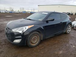 Vehiculos salvage en venta de Copart Rocky View County, AB: 2013 Hyundai Veloster