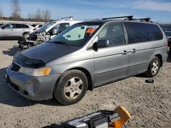 Salvage cars for sale from Copart Arlington, WA: 1999 Honda Odyssey EX