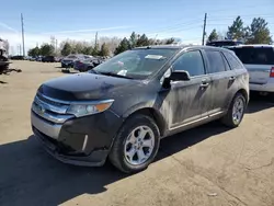 Salvage cars for sale at Denver, CO auction: 2014 Ford Edge SEL