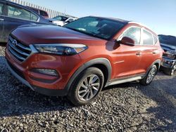 Salvage cars for sale at Columbus, OH auction: 2017 Hyundai Tucson Limited