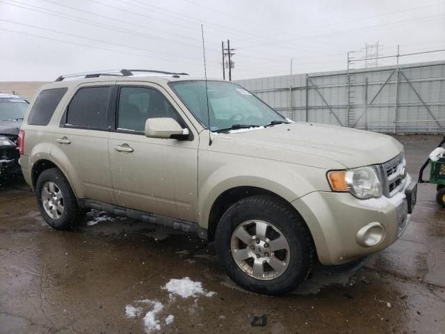 2012 Ford Escape Limited