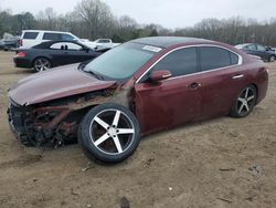 Salvage cars for sale at Conway, AR auction: 2010 Nissan Maxima S
