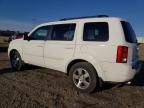 2011 Honda Pilot EXL