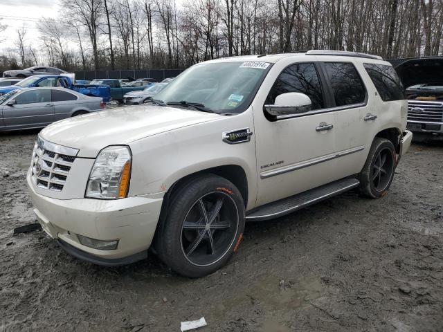 2010 Cadillac Escalade Hybrid