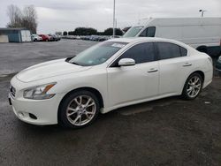 Nissan Maxima salvage cars for sale: 2013 Nissan Maxima S