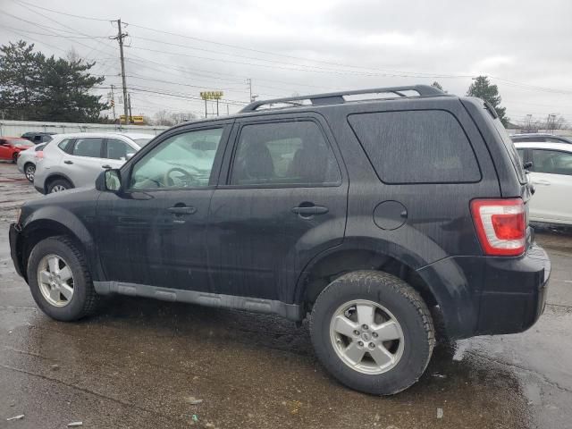 2011 Ford Escape XLT