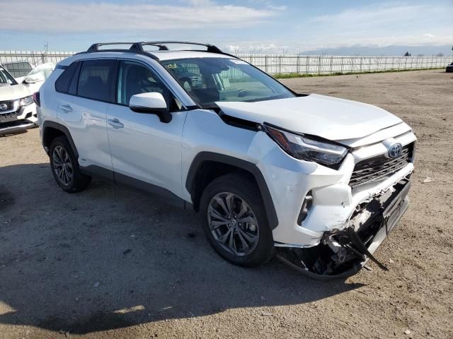 2023 Toyota Rav4 XLE Premium