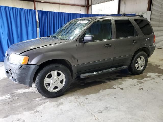 2004 Ford Escape XLT