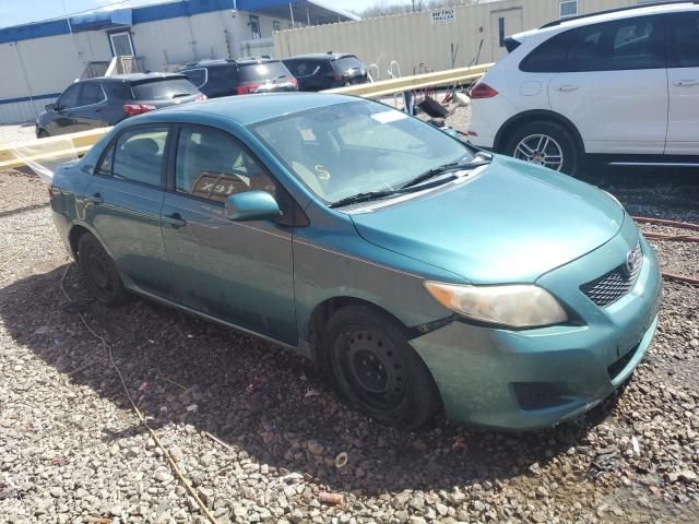 2010 Toyota Corolla Base