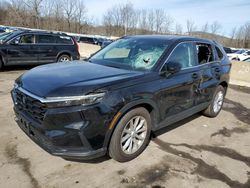 Salvage cars for sale at Marlboro, NY auction: 2024 Honda CR-V EXL