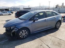 Toyota Corolla LE salvage cars for sale: 2021 Toyota Corolla LE