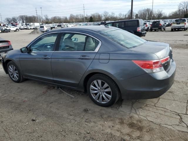 2011 Honda Accord EXL