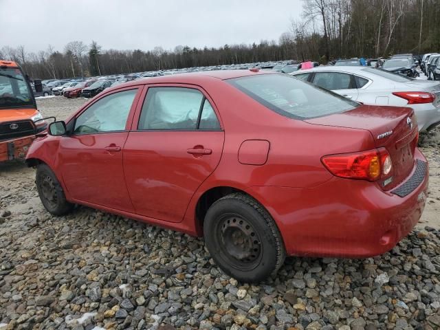 2010 Toyota Corolla Base