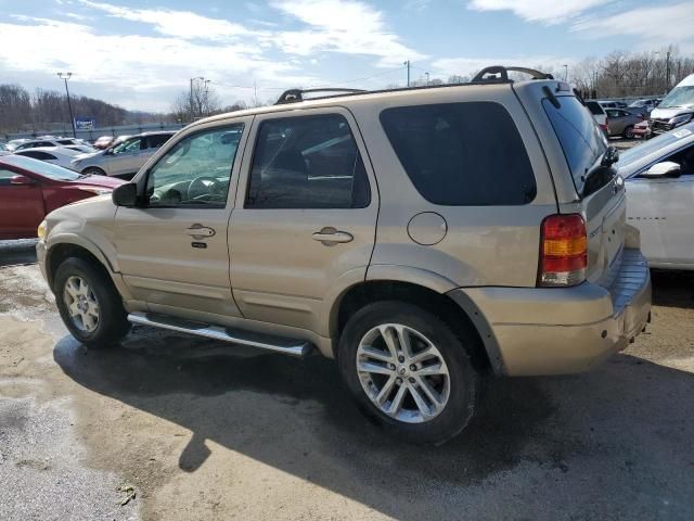 2007 Ford Escape Limited