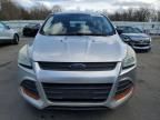 2013 Ford Escape S